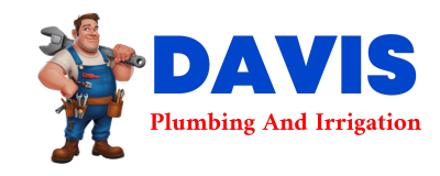 Trusted plumber in D LO